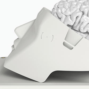 This Brain Surgeon Simulator Is Not a Game
